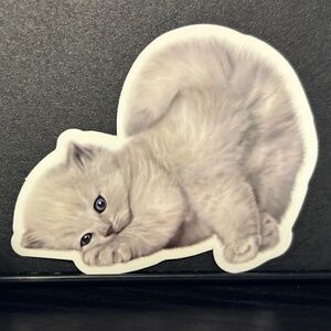 WHITE KITTEN/ CAT STICKER